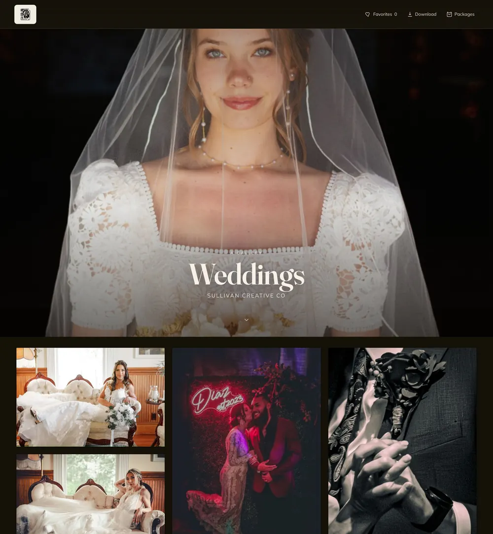 A delivered wedding gallery with the studio's own name, cover and colors on it